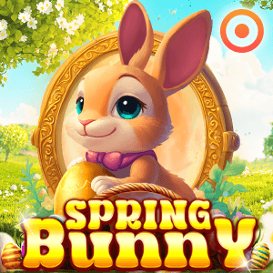 Spring Bunny