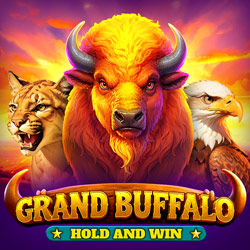 Grand Buffalo Hold and Win